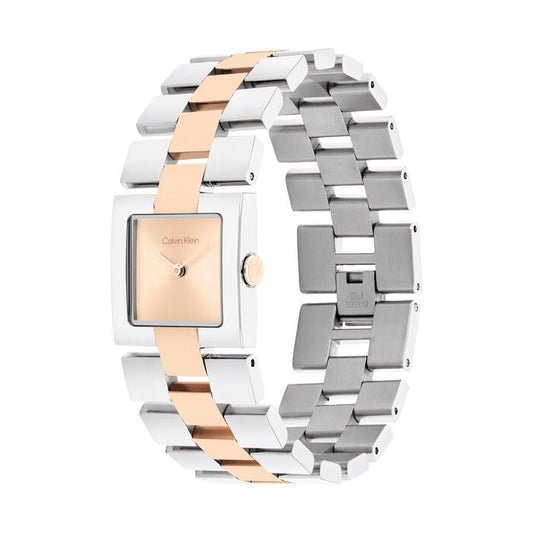 Calvin Klein Meridian Women's 22mm