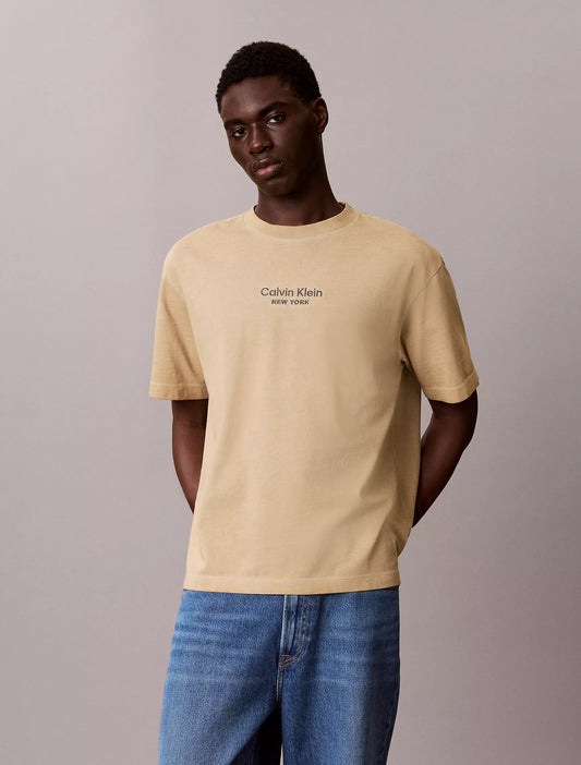 Calvin Klein Faded Dye Logo Graphic Classic Crewneck T-Shirt in White Pepper