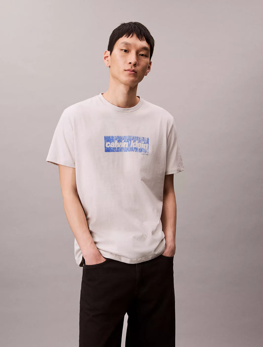 Calvin Klein Faded Logo Graphic Classic T-Shirt