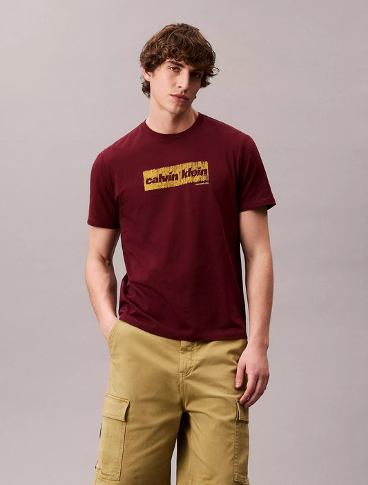 Calvin Klein Faded Logo Graphic Classic T-Shirt