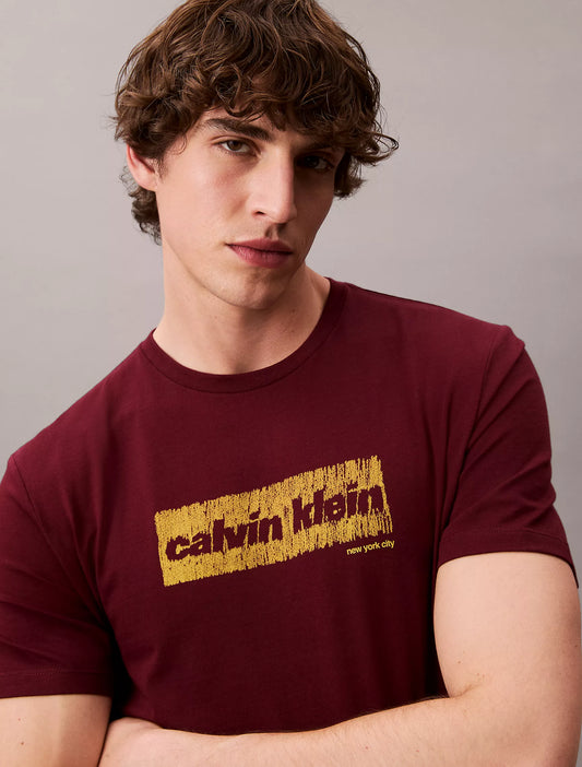 Calvin Klein Faded Logo Graphic Classic T-Shirt