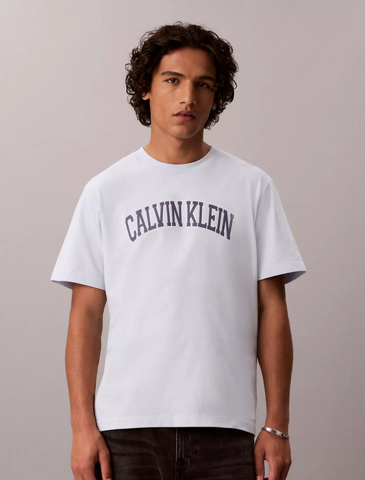 Varsity Calvin Klein Logo Tee in Plein Air