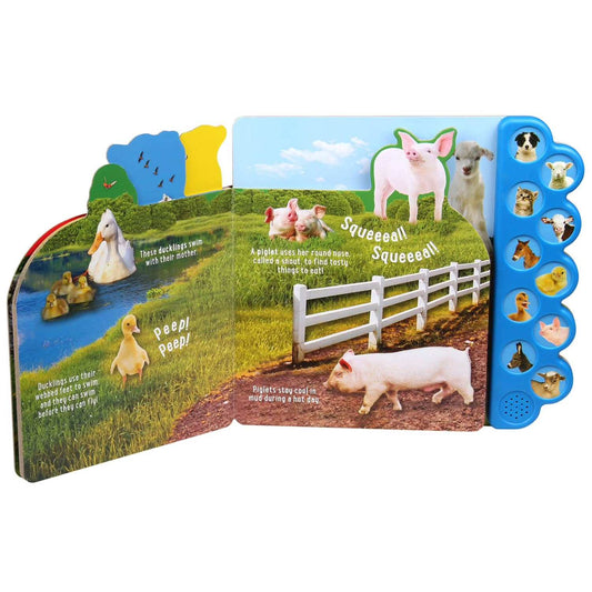Silver Dolphin Books: Discovery Baby Animals!