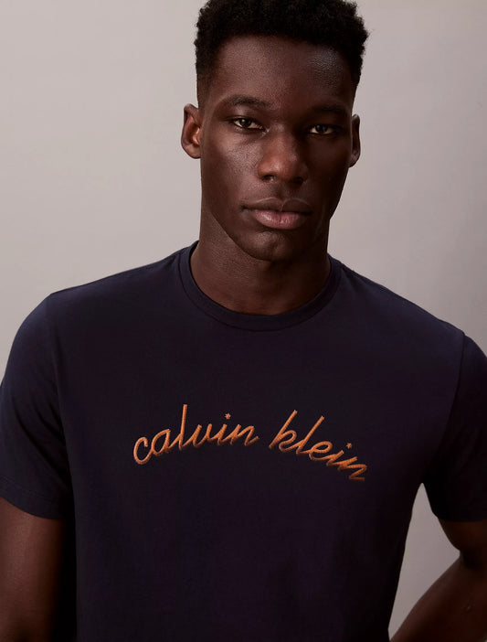 Calvin Klein Script Logo Graphic Classic T-Shirt - Sky Captain