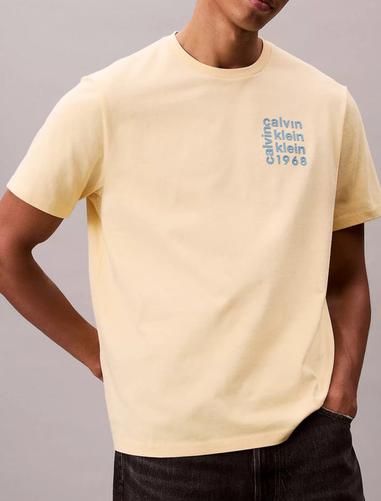 Calvin Klein Logo Square Graphic Relaxed T-Shirt