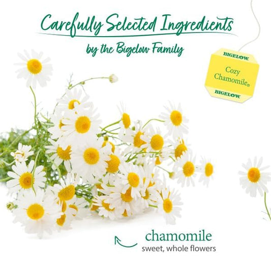 Bigelow Tea Cozy Chamomile Herbal Tea (Pack of 6)