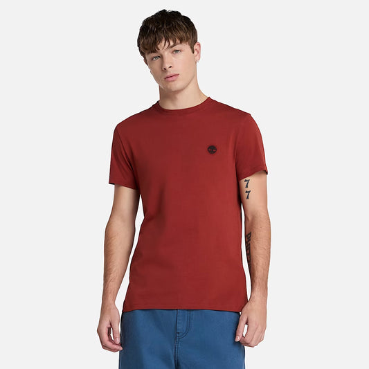 Timberland Men's Dunstan River Short-Sleeve T-Shirt - Burnt Henna
