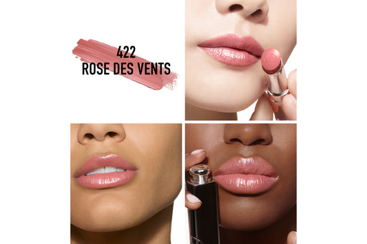 Dior Addict Hydrating Shine Lipstick 422 Rose des Vents - 3.2 g