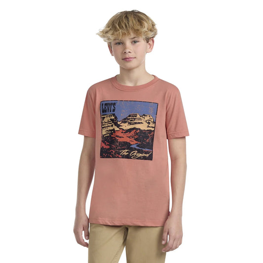 Levi's Boys Short Sleeve Graphic Tee | Orange