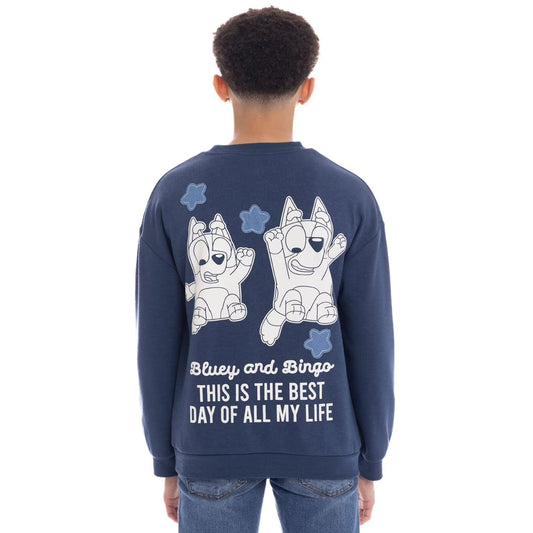 Character Boys Crewneck Sweatshirt in Bluey